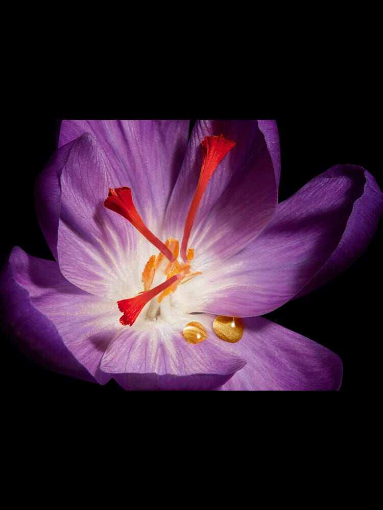 OR ROUGE CLEANSING CREAM