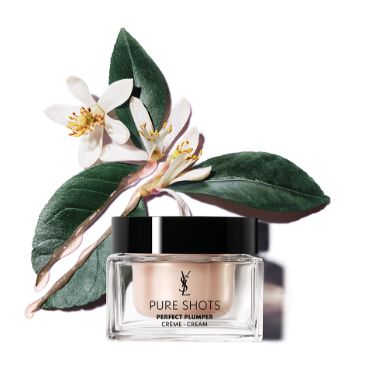 PURE SHOTS PERFECT PLUMPER CREAM