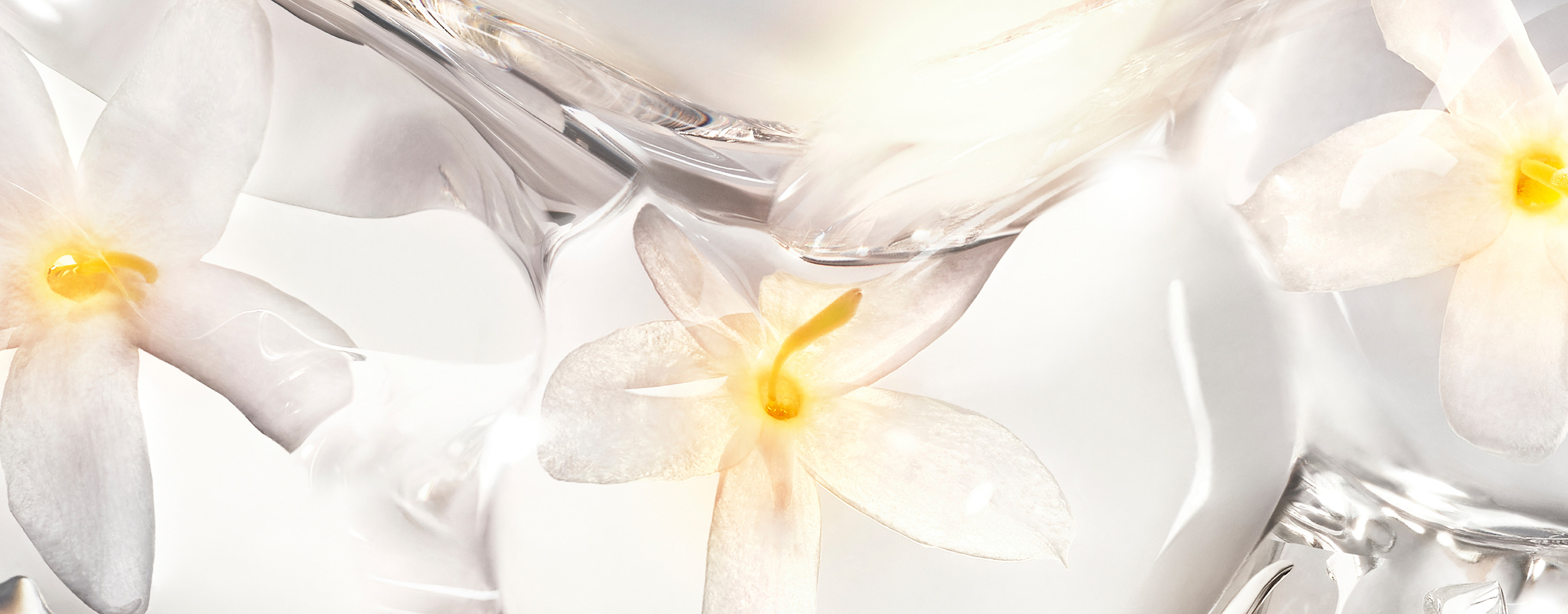Esensi white jasmine dari CARE CRUSH dalam balutan tekstur bening yang memukau. Perawatan kulit elegan khas YSL Beauty.